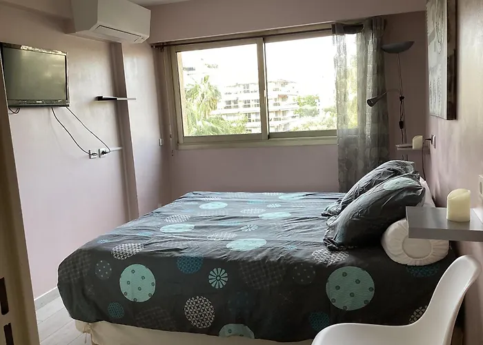 Appartement 2 Pieces Meubles A Juan Les Pins
